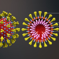 3D-Bild des SarsCov2-Virus'