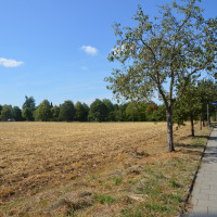 Fläche für den Vaterstettener Bürgerpark